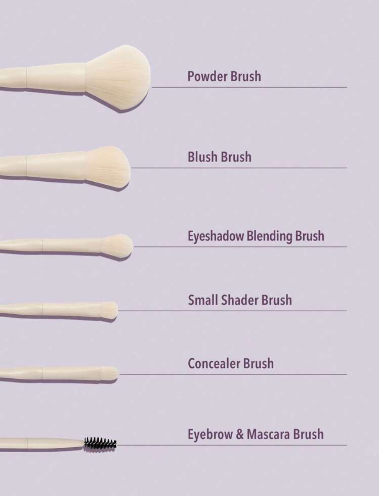 SHEGLAM 8-Piece Professional Makeup Brush Set – Soft, Travel-Friendly Beauty Tools - MK4039