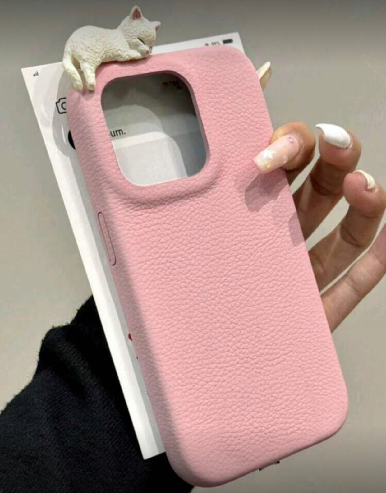 Litchi Leather Soft Back Case for (iPhone 11 Pro Max)