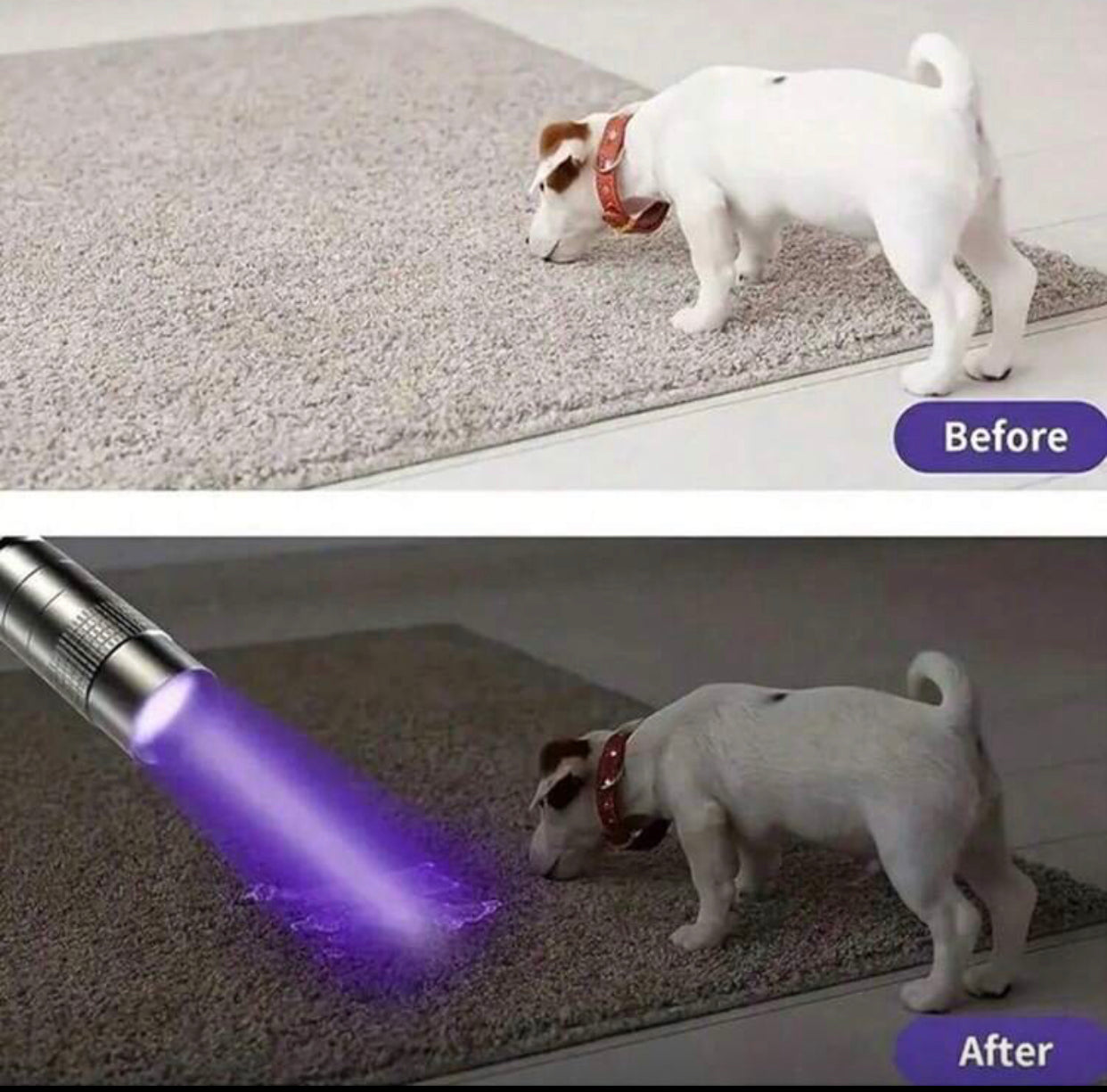 1pc 395nm UV Flashlight – Portable Laser Pen for Leak Detection, Dry Spots, Invisible Ink, Insects & Jewelry Making