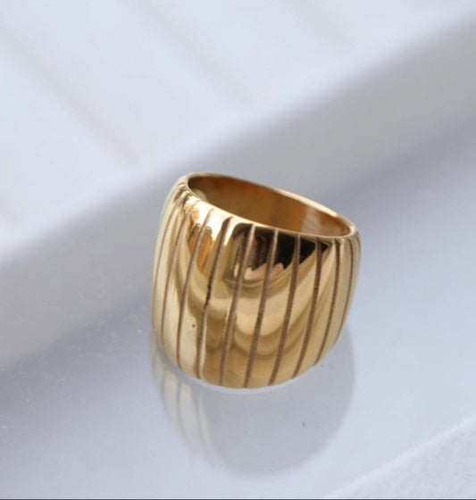 Pure Stainless Steel Ring 316 S2