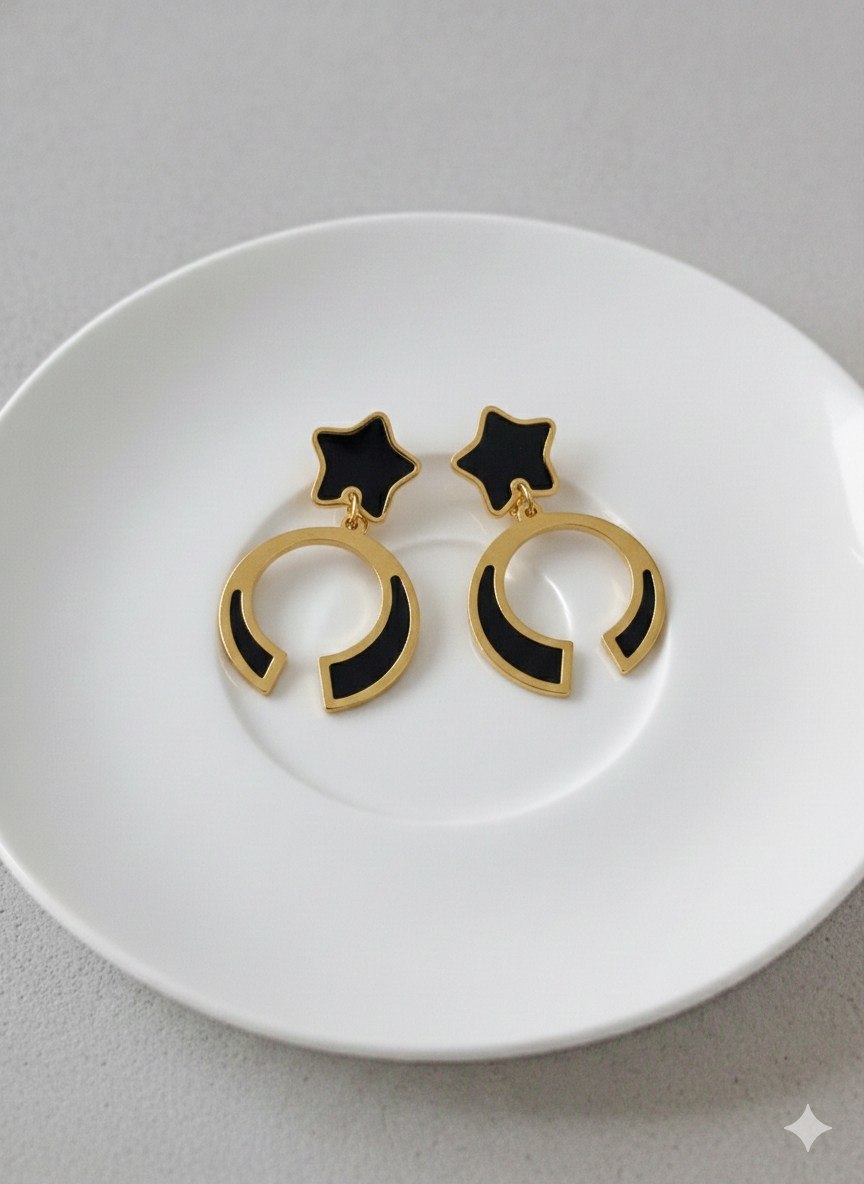 Pure Stainless Steel 316 Earring     S2