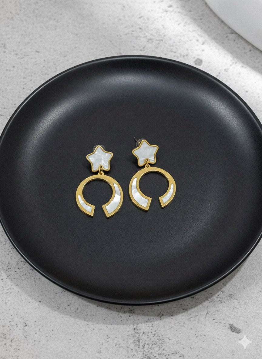 Pure Stainless Steel 316 Earring     S2