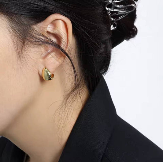 Stud Earring Pure 316 Stainless Steel   S1